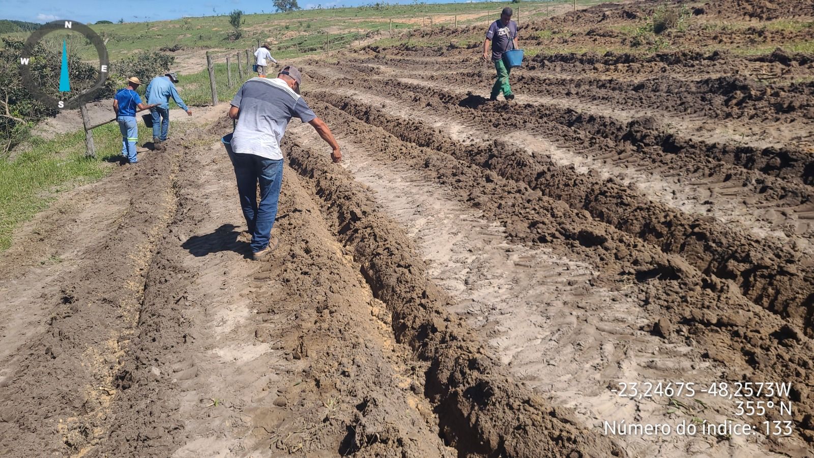 Iniciativa Caminhos da Semente finaliza o plantio de 5,5 hectares na Fazenda São Jorge, em SP